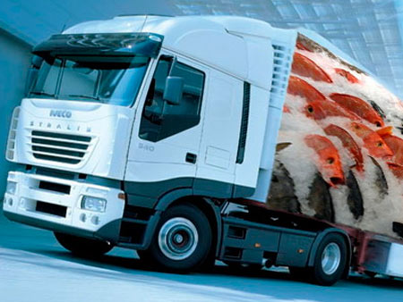 Чем рефрижераторная грузоперевозка отличается от обычной